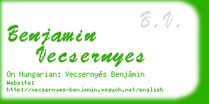 benjamin vecsernyes business card